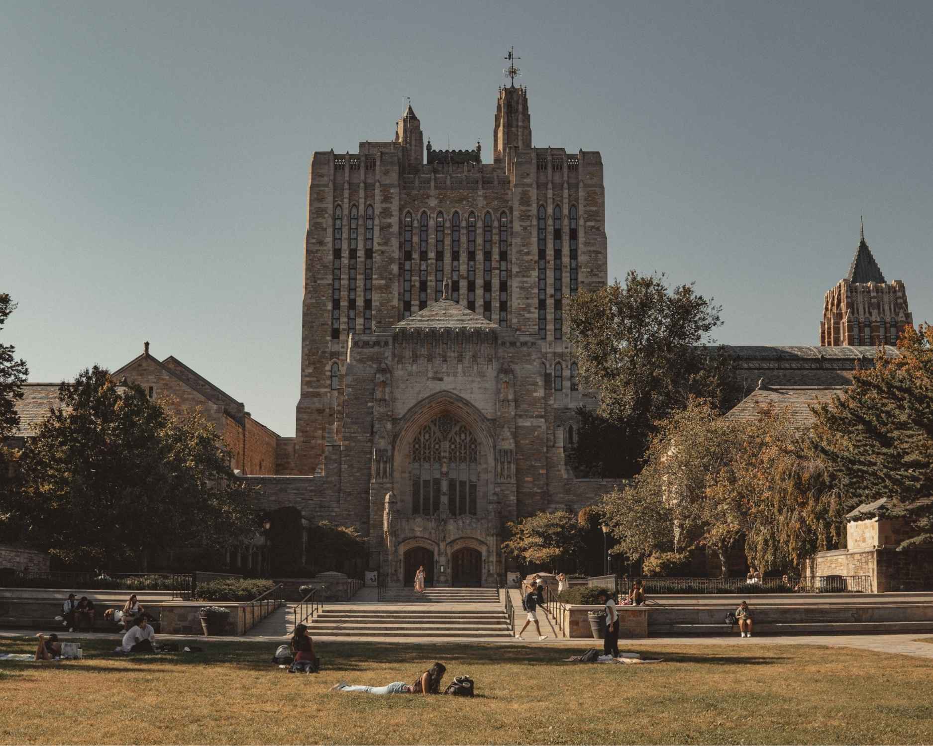 Study in USA Consultants
