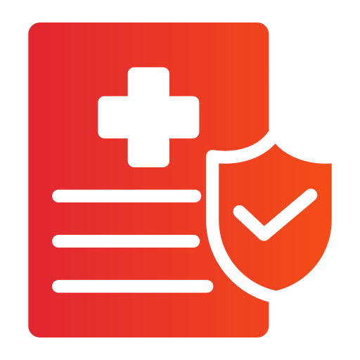 Study Abroad Consultancy