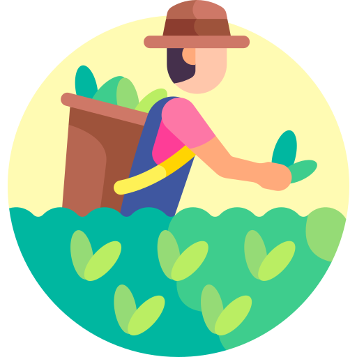 IELTS Coaching in Gandhinagar